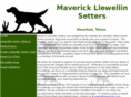 maverickls.com