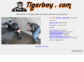tigerboy.com