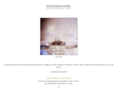 blindvisionsstudio.com