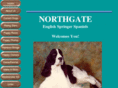northgatespringers.com
