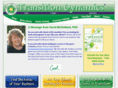 transitiondynamics.com