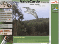 valdecardo.com