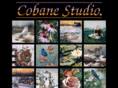 cobanestudio.com