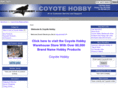 coyoteair.com