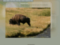 lmhphoto.com