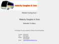 malachygaughan.com