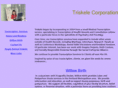 triskelecorporation.com