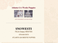 snowesti.com