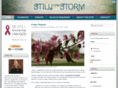 stillinthestorm.com