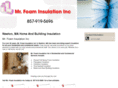 mrfoaminsulationinc.com