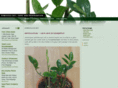 zamioculcas.net