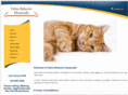 felinebehaviorhousecalls.com