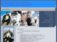 rajeshbadal.com