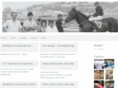benaltieri.com