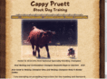 cappypruett.com