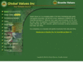 globalvalues.net