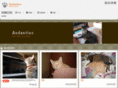 ocotan.com