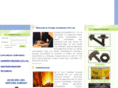 punjabcontainers.com
