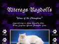 riterags.com