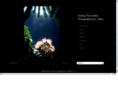 seeingthecreator.com