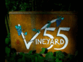 vineyard55.com