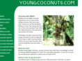 youngcoconuts.com