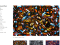 davidplattart.com