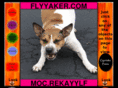 flyyaker.com