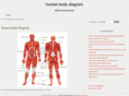 humanbodydiagram.org