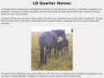 ldquarterhorses.com