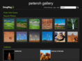 peterohgallery.com