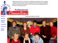 professionalconnections.org
