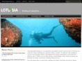 vietnamdivingsnorkeling.com