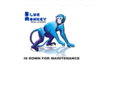 bluemonkeyinc.com