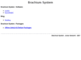 brachium-system.net