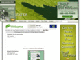 rochestertreeservices.com