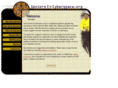 seniorsincyberspace.org