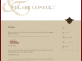 velvetconsult.com