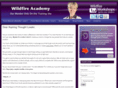 wildfireacademy.com