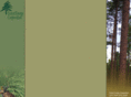 forestenergy.com
