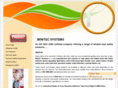 minitecsystems.com