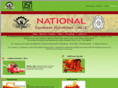 newnationalsteelind.com