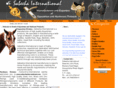 sabeehainternational.com