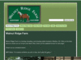walnutridgehaflinger.com