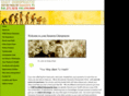 chaitchiropractic.com