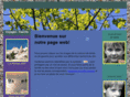 scollinweb.net