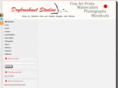 drybrushwetstudios.com