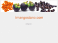 ilmangostano.com