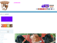 kotreasure.com