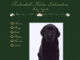 tinkerbell-keiko.com